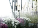 Irrigation system 5 to 8qm (MGS48)