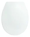 Smart Duro toilet seat
