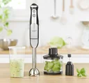 Multi-hand blender set stainless steel, 800 watts