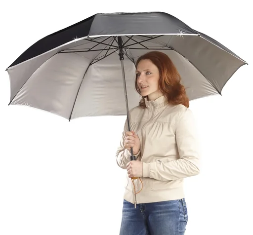 "Storm umbrella "Kyrill" II image"
