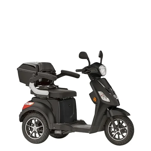 "3-wheel electric vehicle Bologna 25 km/h black image"