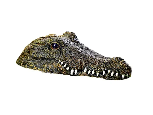 "Pond crocodile image"