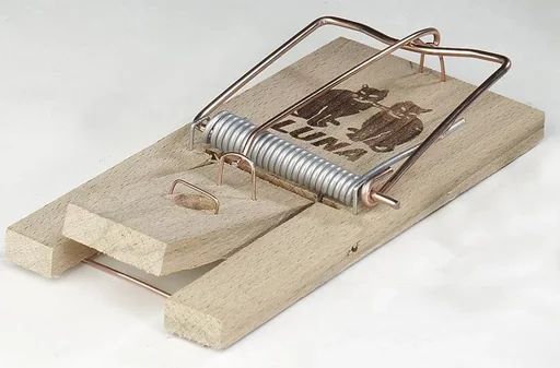"Wooden rat traps - 10 pieces image"