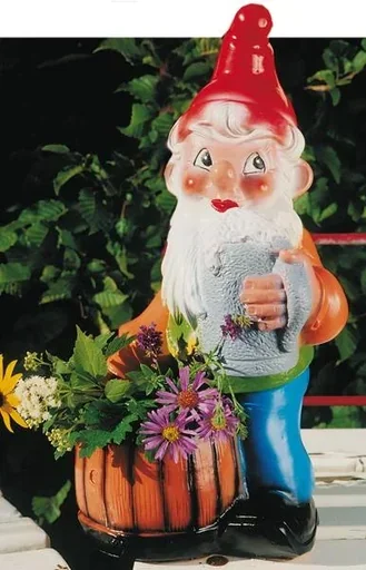 "Dwarf as a dwarf 40 cm image"