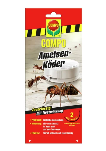 "Ant bait image"