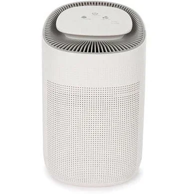 "2-in-1 air purifier and dehumidifier image"