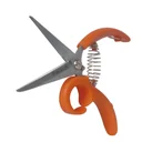 Scissors Flower Magic