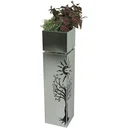 Plant column "Beech"
