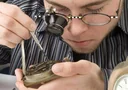 Clamp magnifying glass for glasses, with 3x magnification